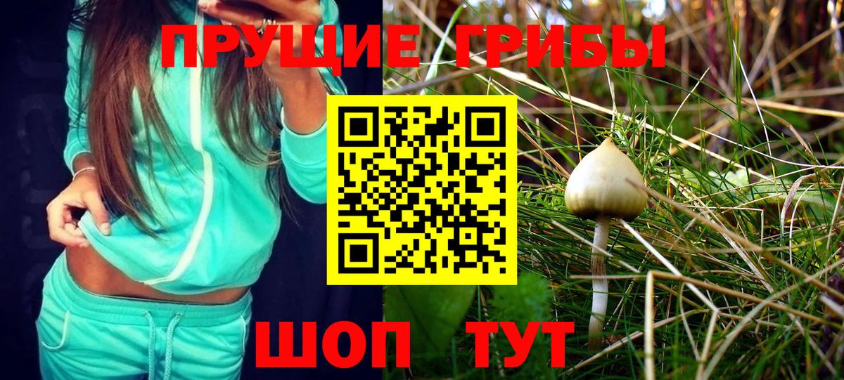 Санкт-Петербург  Псилоцибиновые грибы MAGIC MUSHROOMS  Псилоцибиновые грибы прущие грибы  Вход с VPN 